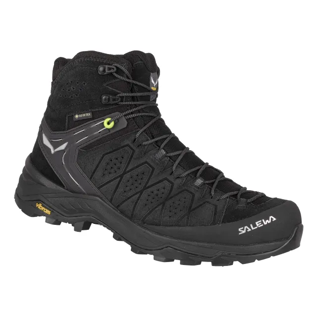 Men's Alp Trainer 2 Mid GTX